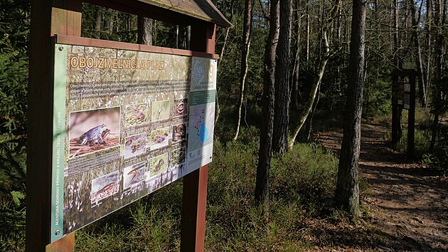 Evropsky v&yacute;znamnou lokalitou D&aacute;řsk&aacute; ra&scaron;elini&scaron;tě vede i naučn&aacute; stezka s infotabulemi a vyhl&iacute;dkov&yacute;m molem.