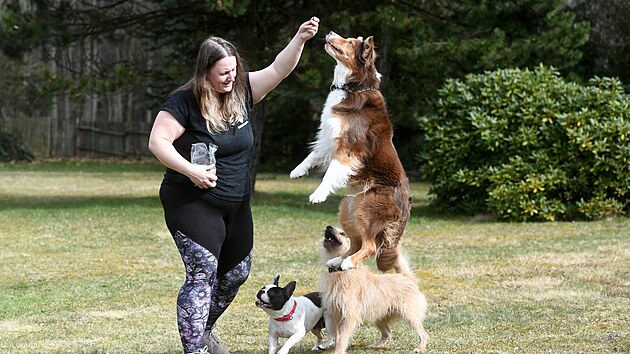 Spolek Doggoland se věnuje p&eacute;či o opu&scaron;těn&aacute; a probl&eacute;mov&aacute; zv&iacute;řata, hlavně psy. Zakladatelkou spolku je Daniela Jana Vondr&aacute;kov&aacute;.