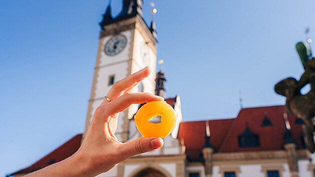 Turistickou sezonu v Olomouci zah&aacute;j&iacute; již dev&aacute;t&yacute; ročn&iacute;k tvarůžkov&eacute;ho festivalu.