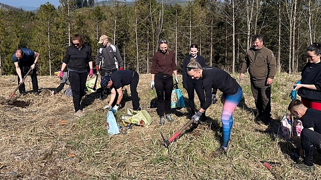 Dobrovoln&iacute;ci a studenti při v&yacute;sadbě mlad&yacute;ch stromků na Velk&eacute;m Javorn&iacute;ku v r&aacute;mci akce Stromy pro Javorn&iacute;k, kter&aacute; se konala v p&aacute;tek 24. a v sobotu 25. dubna 2026. Během dvou dnů se jim podařilo do beskydsk&eacute; půdy zasadit 2 300 sazenic jedl&iacute;, buků a modř&iacute;nů.