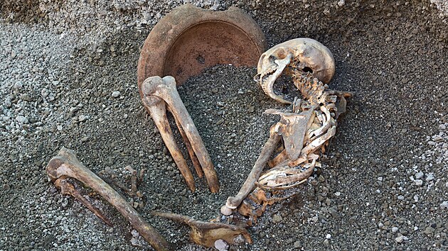 Archeologové našli v Pompejích dosud neodkryté kosterní pozůstatky dvou mužů, kteří prchali před erupcí. (27. dubna 2026)