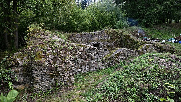Na zř&iacute;cenině hradu Ronovec spolek Osgord poř&aacute;d&aacute; několikr&aacute;t do roka brig&aacute;dy. Společně se snaž&iacute; očistit zdivo, vyndat uvolněn&eacute; kameny, ale tak&eacute; posekat tr&aacute;vu nebo odstranit n&aacute;letov&eacute; křoviny.