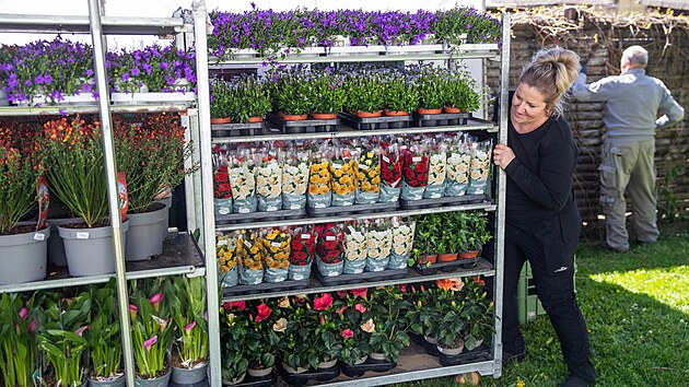Na olomouck&eacute;m v&yacute;stavi&scaron;ti fini&scaron;uj&iacute; př&iacute;pravy na jarn&iacute; etapu květinov&eacute; v&yacute;stavy Flora, jež se uskutečn&iacute; od 23. do 26. dubna. Stovky prodejců zde nab&iacute;dnou rostliny, techniku i zahradnick&eacute; potřeby. (22. dubna 2026)