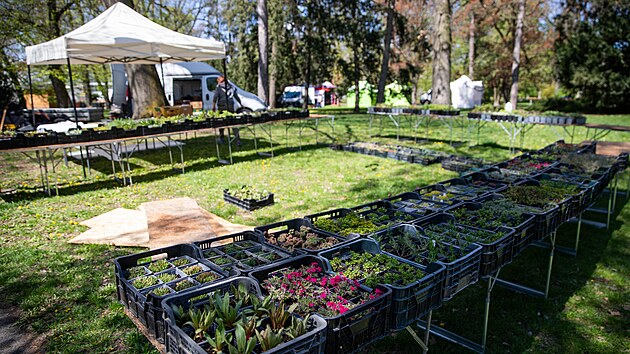 Na olomouck&eacute;m v&yacute;stavi&scaron;ti fini&scaron;uj&iacute; př&iacute;pravy na jarn&iacute; etapu květinov&eacute; v&yacute;stavy Flora, jež se uskutečn&iacute; od 23. do 26. dubna. Stovky prodejců zde nab&iacute;dnou rostliny, techniku i zahradnick&eacute; potřeby. (22. dubna 2026)