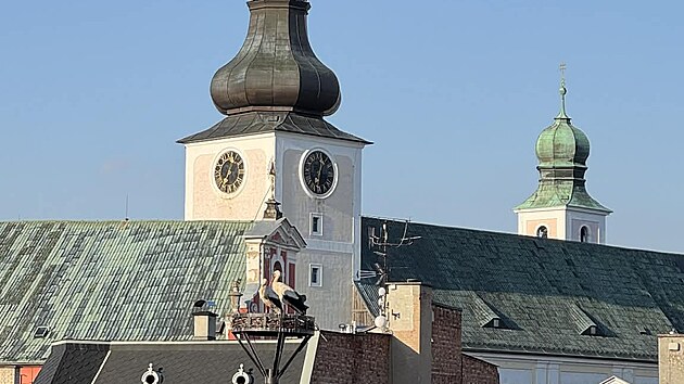 Č&aacute;pi se zabydluj&iacute; nad n&aacute;měst&iacute;m v Broumově.
