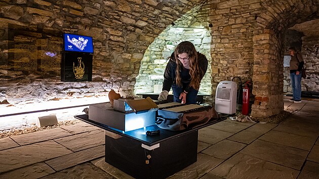 Muzeum Kroměřížska vystavuje tzv. Šelešovický poklad nalezený v obci Šelešovice, který čítá přes 300 mincí. (duben 2026)
