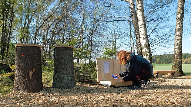Nov&yacute; bar Na H&aacute;ječku otevřeli u Velk&eacute; Losenice na Žď&aacute;rsku manžel&eacute; Posp&iacute;chalovi. M&aacute; sloužit turistům, ale i m&iacute;stn&iacute;m, kteř&iacute; k bl&iacute;zk&eacute; samotě Bambouch m&iacute;ř&iacute; často na vych&aacute;zky.