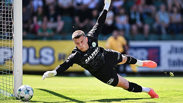 Brank&aacute;ř Bohemians Fr&uuml;hwald během z&aacute;pasu s Olomouc&iacute;.