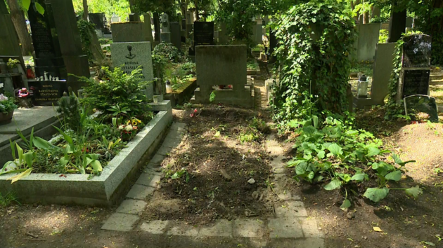 Na m&iacute;stě původn&iacute;ho rodinn&eacute;ho hrobu zůstala podle pozůstal&yacute;ch jen d&iacute;ra se stavebn&iacute;m odpadem.