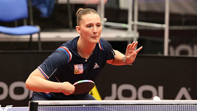 Stoln&iacute; tenistka Anna Holej&scaron;ovsk&aacute;