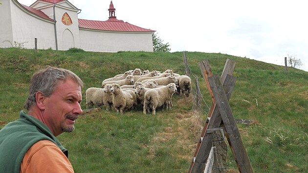Pastvu městsk&yacute;ch pozemků pod žď&aacute;rskou pam&aacute;tkou UNESCO zaji&scaron;ťuje Sdružen&iacute; Krajina s ovcemi farm&aacute;ře Milana Daďourka (na sn&iacute;mku). (6. května 2026)