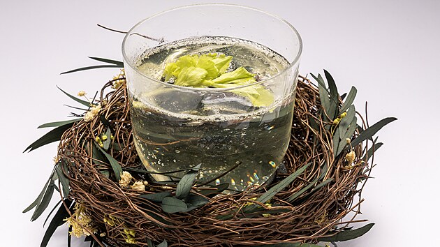 V&iacute;tězn&yacute; drink Jana Lukase The Nest  - Hn&iacute;zdo. Kromě miner&aacute;ln&iacute; vody Mattoni je v něm aloe vera,  řap&iacute;kat&yacute; celer a cordial Paragon Rue Berry. V&iacute;těz soutěže vůni podpořil z&aacute;střikem tekut&yacute;m aroma s t&oacute;ny zelen&eacute;ho jablka.
