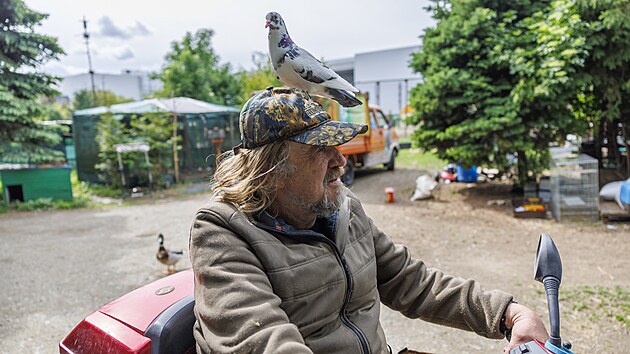 Poté, co obytnou část jeho záchranné stanice v brněnské Slatině minulý týden zachvátil požár, přišel Zdeněk Machař o střechu nad hlavou. Dočasně přebývá v chlévě. (12. května 2026)