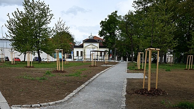 Pohled do vznikajícího parku Třešňovka v Havlíčkově ulici. Dělníci zde již položili kamennou dlažbu a vysázeli nové stromky, které chrání dřevěné konstrukce.