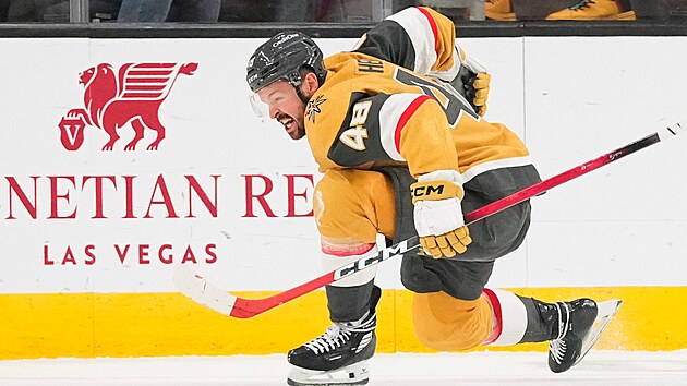 Tomáš Hertl slaví branku v pátém zápase druhého kola play off NHL.