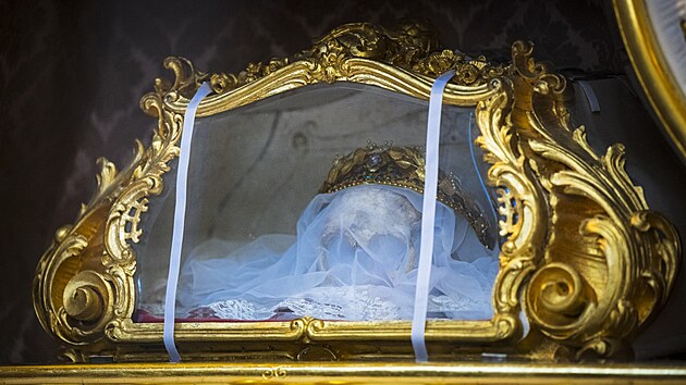 Lebka svat&eacute; Zdislavy uložen&aacute; v Jablonn&eacute;m v Podje&scaron;těd&iacute;. (1. května 2025)