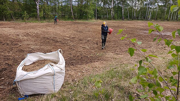 V budoucí příměstské rezervaci již byla vyseta směs rostlin typických pro Žďárské vrchy. Vzniknou i květnaté pásy pro hmyz. (15. května 2026)