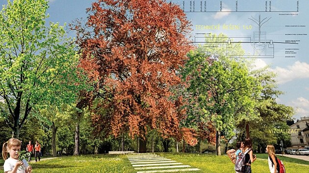Na druh&eacute;m m&iacute;stě soutěže se um&iacute;stil n&aacute;vrh Ateli&eacute;ru krajin&aacute;řsk&eacute; architektury Sendler &ndash; Radilov&aacute;. Ten naopak s&aacute;z&iacute; na maxim&aacute;ln&iacute; stř&iacute;dmost a kontinuitu s dosavadn&iacute; podobou parku. Nam&iacute;sto nov&eacute;ho objektu navrhuje doplněn&iacute; prostoru o v&yacute;razn&yacute; strom. Konkr&eacute;tně se jedn&aacute; o červen&yacute; buk, kter&yacute; by se stal přirozen&yacute;m, v čase se proměňuj&iacute;c&iacute;m symbolem m&iacute;sta. Ře&scaron;en&iacute; je doplněno zapu&scaron;těn&yacute;mi kamenn&yacute;mi deskami v linii směřuj&iacute;c&iacute; na nov&yacute; symbol m&iacute;sta, na strom. U něj je um&iacute;stěna vět&scaron;&iacute; kamenn&aacute; lavice.
