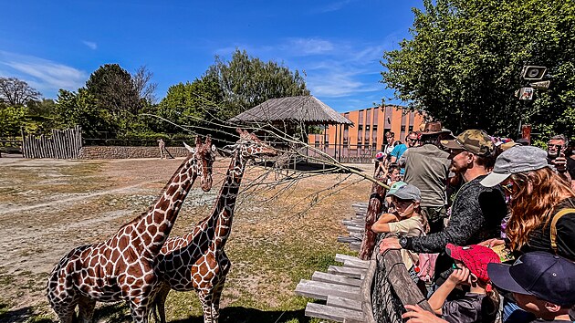 Oslavy 80 let Safari Parku Dvůr Kr&aacute;lov&eacute; (10. května 2026)