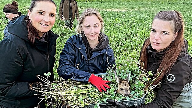 Dobrovoln&iacute;ci z Chebska, kteř&iacute; zachraňuj&iacute; srnčata v době sečen&iacute;, maj&iacute; nyn&iacute; velk&eacute;ho pomocn&iacute;ka - dron.