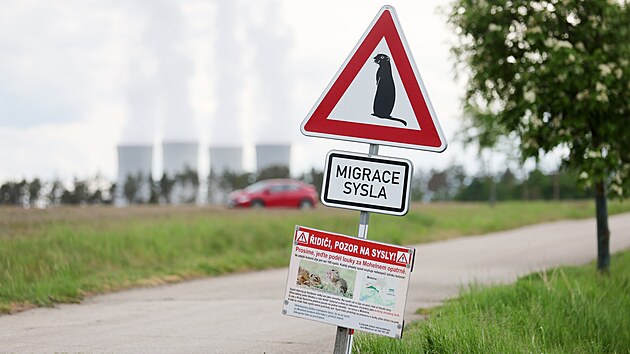 Dopravní značky upozorňující na migraci syslů i zpomalovací prahy pomáhají snížit počet sražených zvířat.