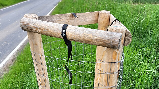 Z aleje mezi Studnicí a Zblovem na Náchodsku přes noc někdo ukradl deset stromů. (18. května 2026)