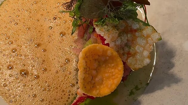 Dvacetiletý kuchař z Karlových Varů Jonáš Chorvat aktuálně sbírá zkušenosti v michelinské restauraci Louroc, která patří k významnému francouzskému hotelu du Cap-Eden-Roc. Předtím absolvoval diplom u špičkového šéfkuchaře Alaina Ducasse.