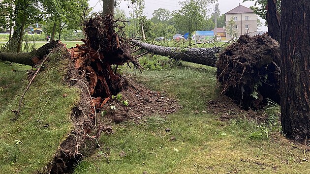Následky bouřky a silného větru v Boršově na Českobudějovicku. (31. května 2026)