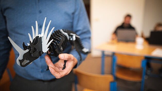 Jedn&iacute;m z l&aacute;kadel žď&aacute;rsk&eacute; akce budou uk&aacute;zky 3D tisku. N&aacute;v&scaron;těvn&iacute;ci si budou moci prohl&eacute;dnout i takov&eacute;to propracovan&eacute; modely.