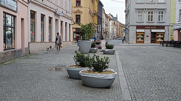 Nov&eacute; n&aacute;doby s keři bobkovi&scaron;n&iacute;, kter&eacute; už lemuj&iacute; chodn&iacute;ky v pě&scaron;&iacute; z&oacute;ně v Palack&eacute;ho ulici.
