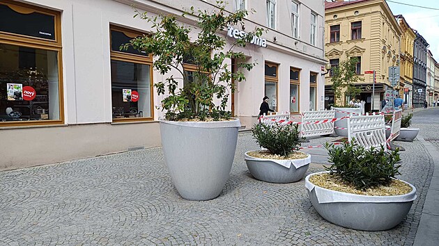 Nov&eacute; n&aacute;doby s keři bobkovi&scaron;n&iacute;, kter&eacute; už lemuj&iacute; chodn&iacute;ky v pě&scaron;&iacute; z&oacute;ně v Palack&eacute;ho ulici.