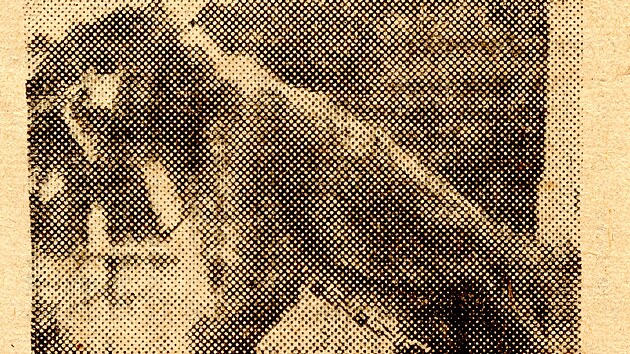 Čl&aacute;nek ze Str&aacute;že lidu vydan&eacute; 14. ř&iacute;jna 1956 referuj&iacute;c&iacute; o roz&scaron;iřov&aacute;n&iacute; v t&eacute;mže roce vznikl&eacute; olomouck&eacute; zoo