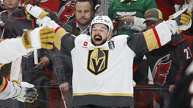 Tomáš Hertl zařídil Vegas úspěšný vstup do finále play off.