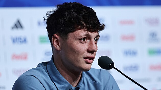 Kapitán české fotbalové reprezentace Ladislav Krejčí hovoří na tiskové konferenci před zápasem s JAR na MS ve fotbale.