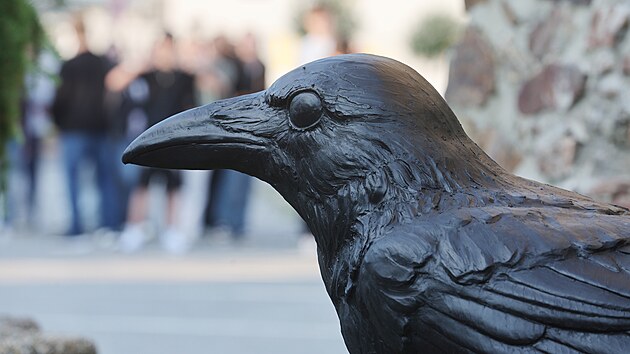 Jedn&iacute;m z l&aacute;kadel sochařsk&eacute;ho festivalu Uměn&iacute; n&aacute;s spojuje je souso&scaron;&iacute; Hejno od Tom&aacute;&scaron;e Zelen&eacute;ho. Detail obř&iacute;ho havrana v Pelhřimově.