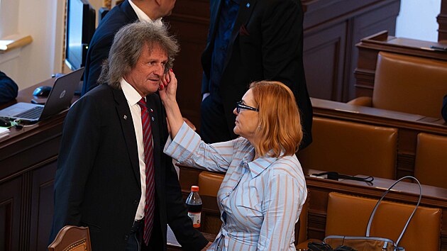 Mimoř&aacute;dn&aacute; schůze Sněmovny. Na sn&iacute;mku Miroslav &Scaron;evč&iacute;k (SPD) a Zuzana Majerov&aacute; (SPD). (11. června 2026)