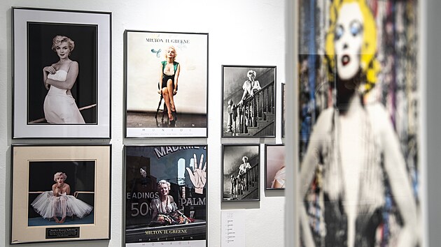 V&yacute;stava Marilyn Monroe 100, kterou připravila Česk&aacute; Galerie Modern&iacute;ho Uměn&iacute;. (11. června 2026)