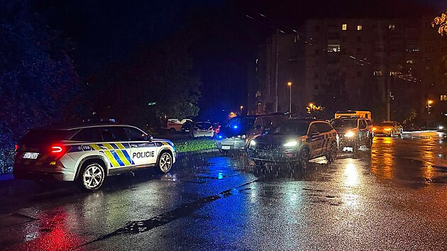 Po ženě pátraly v Branišovském lese na okraji sídliště Máj desítky policistů a hasičů.