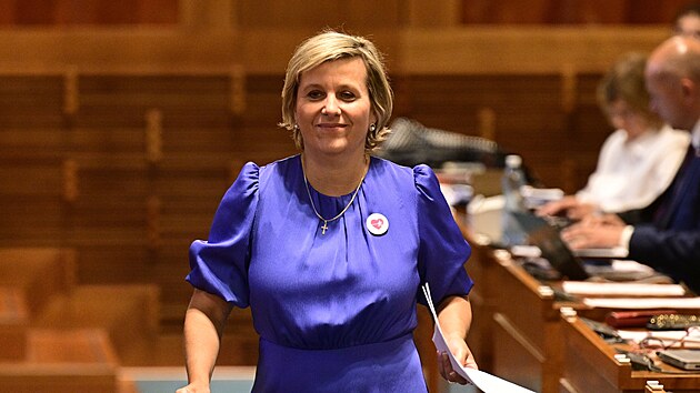 Jana Mračkov&aacute; Vildumetzov&aacute; na jedn&aacute;n&iacute; Sen&aacute;tu (17. června 2026)