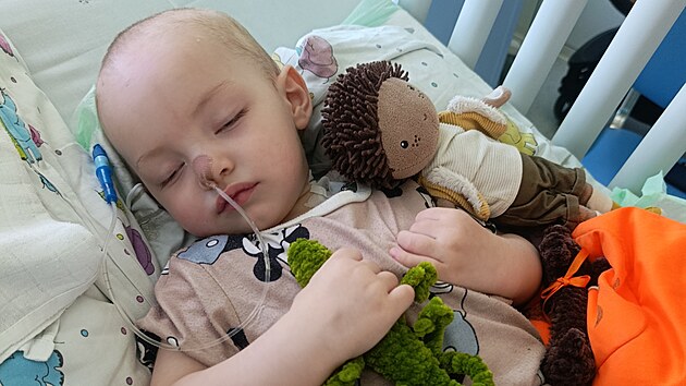 Dvoulet&yacute; Kristi&aacute;nek z Prostějova byl vesel&yacute; a zdrav&yacute; chlapeček. V&scaron;e se změnilo pot&eacute;, co vdechl kousek hru&scaron;ky. Nyn&iacute; je v nemocnici ve vigiln&iacute;m k&oacute;matu.
