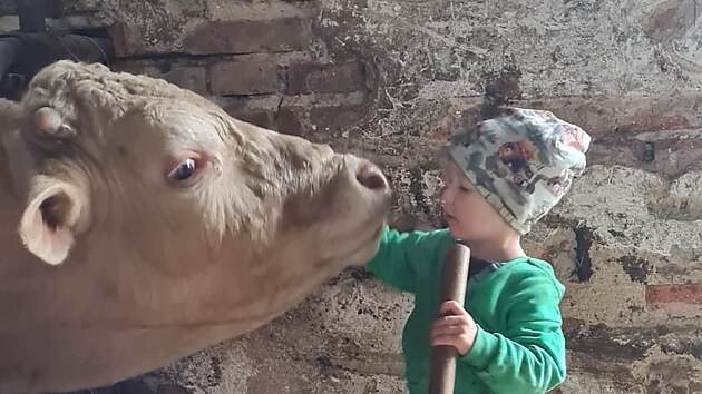 Před požárem. Rodina na farmě hospodařila přes deset let. Chovali i krávy a býky.