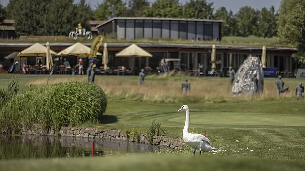 Golfov&yacute; resort Kask&aacute;da slouž&iacute; jako hři&scaron;tě, galerie uměleck&yacute;ch děl i jako domov zv&iacute;řat. Ta se někdy k m&iacute;čkům dostanou až pov&aacute;žlivě bl&iacute;zko.