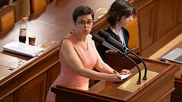 Jednání Poslanecké sněmovny o zrušení služebního zákona a jeho nahrazení novým zákonem o státních zaměstnancích. Na snímku Olga Richterová (Piráti). (24. června 2026)