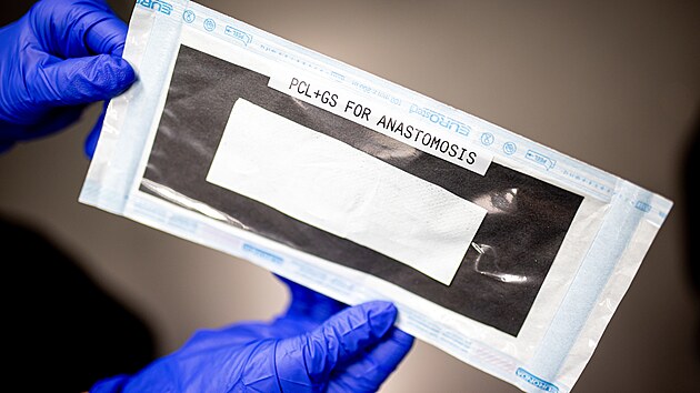 Nanonáplast, kterou navrhla Markéta Hujerová. Jde o biologicky odbouratelnou nanovlákennou membránu, která se při operaci přikládá na místo, kde chirurg znovu spojí střevo (tzv. anastomózu). Jejím cílem je zabránit dvěma nejzávažnějším komplikacím po operaci - úniku střevního obsahu do dutiny břišní a vzniku pooperačních srůstů.