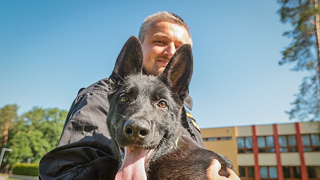 Řady jihočesk&eacute; Policie ČR roz&scaron;&iacute;řila dvě několikat&yacute;denn&iacute; &scaron;těňata německ&eacute;ho ovč&aacute;ka - Casper a &Aacute;rč&iacute; (čern&yacute; pes). Ti budou po z&aacute;cviku, kter&yacute; bude trvat dva roky, sloužit jako vyhled&aacute;vači akceler&aacute;torů hořen&iacute; při pož&aacute;rech. (24.6.2026)