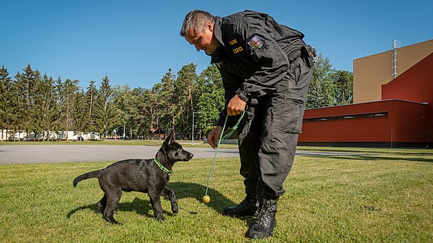 Řady jihočesk&eacute; Policie ČR roz&scaron;&iacute;řila dvě několikat&yacute;denn&iacute; &scaron;těňata německ&eacute;ho ovč&aacute;ka - Casper a &Aacute;rč&iacute; (čern&yacute; pes). Ti budou po z&aacute;cviku, kter&yacute; bude trvat dva roky, sloužit jako vyhled&aacute;vači akceler&aacute;torů hořen&iacute; při pož&aacute;rech. (24.6.2026)