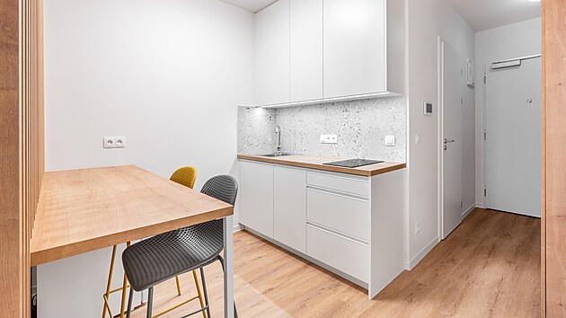 Byty v projektu jsou kompletně zař&iacute;zen&eacute; k&nbsp;okamžit&eacute;mu nastěhov&aacute;n&iacute; nebo již pronajat&eacute; s&nbsp;možnost&iacute; kompletn&iacute; spr&aacute;vy.