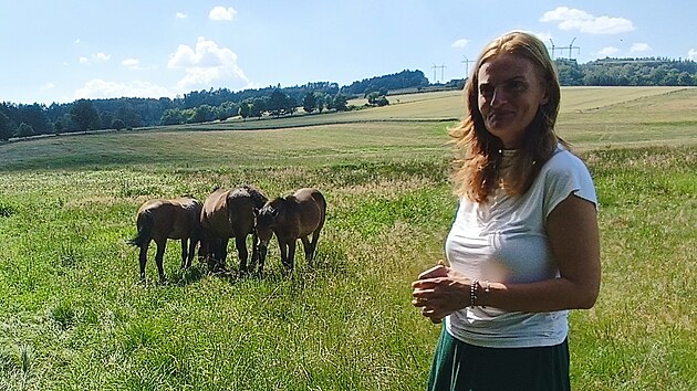 Ivana Jungová pozoruje divoké koně na svém dvacetihektarovém pozemku u Loukova, který nyní funguje jako rezervace pro tento druh zvířat. (25. června 2026)