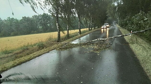 Následky bouřek, které se v pondělí odpoledne prohnaly západní částí Vysočiny. Hasiči v té souvislosti napočítali více než 180 výjezdů. (29. června 2026)