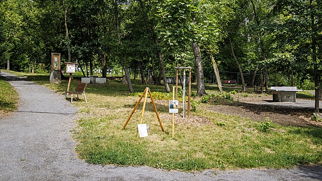 V řečkovickém parku na severu Brna mohou lidé spatřit zvláštní trojnožku. Jde o vtipnou meteorologickou stanici Járy Cimrmana, navíc vyšperkovanou vysvětlivkami v hantecu. (červenec 2026)